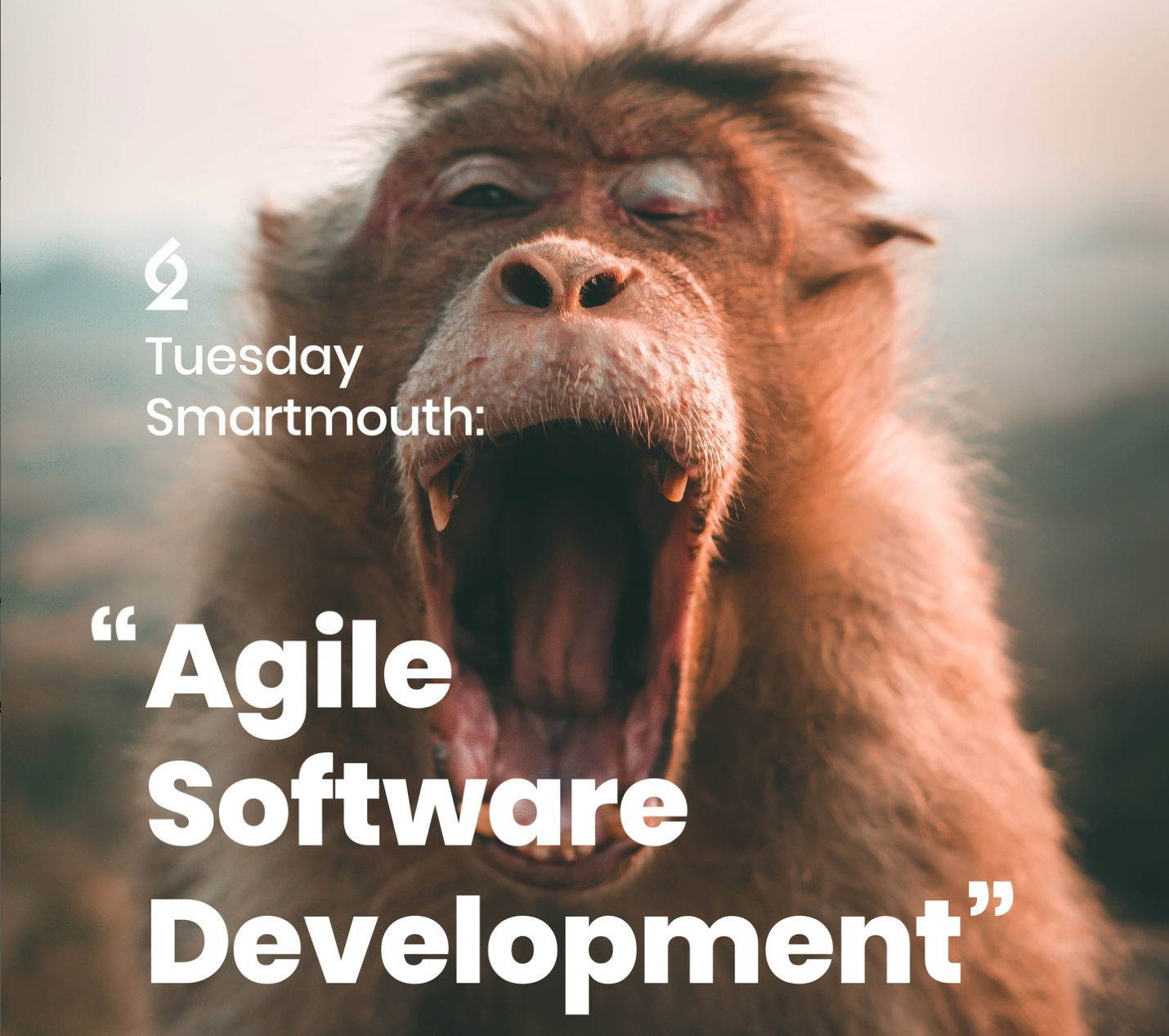 Agile Software Development image
